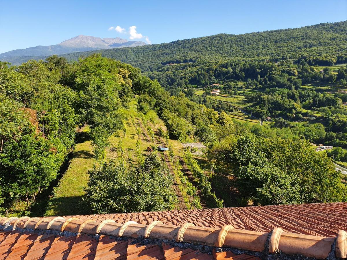 b&b Antiche Pietre Bollengo Esterno foto