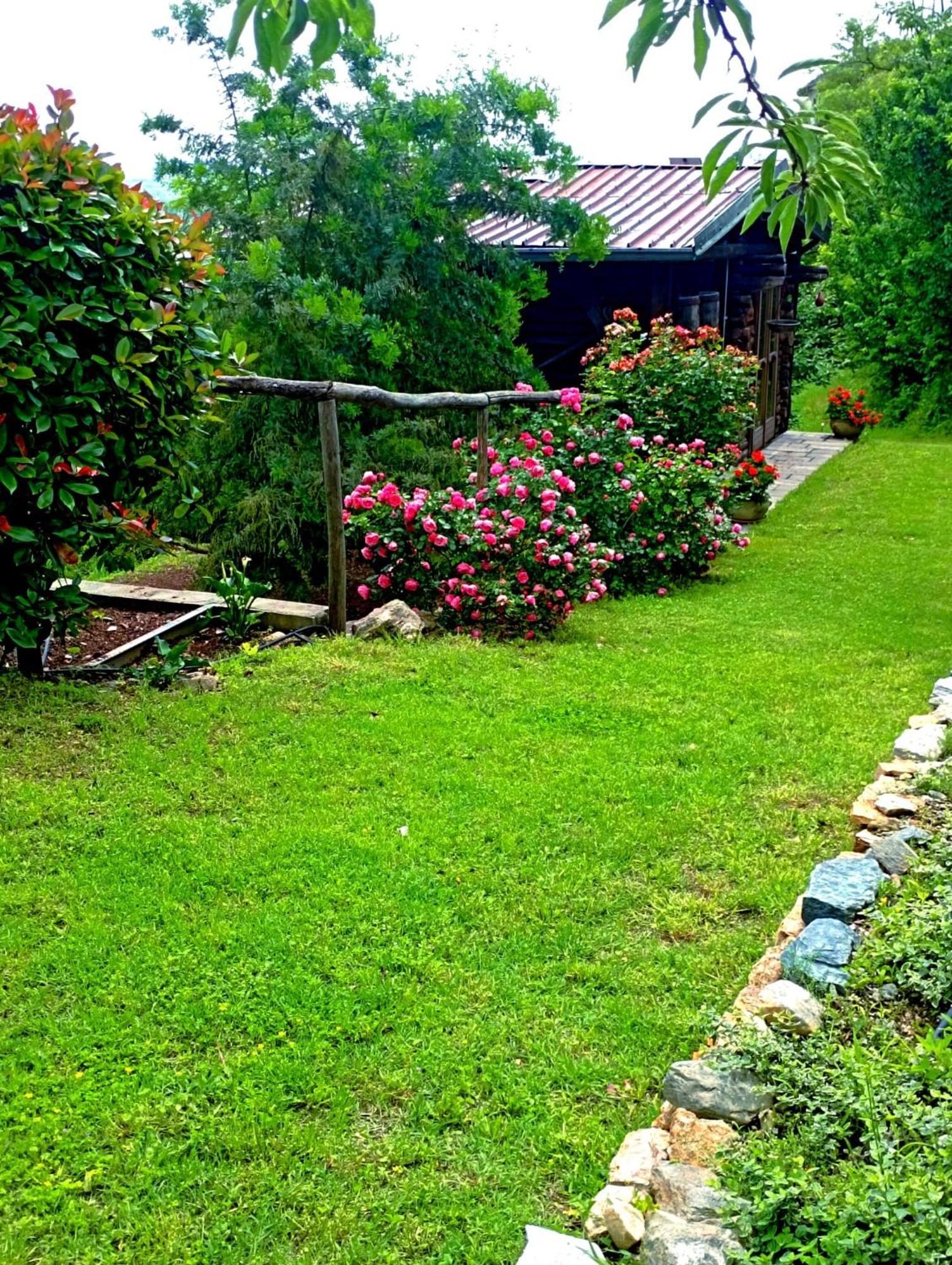 b&b Antiche Pietre Bollengo Esterno foto
