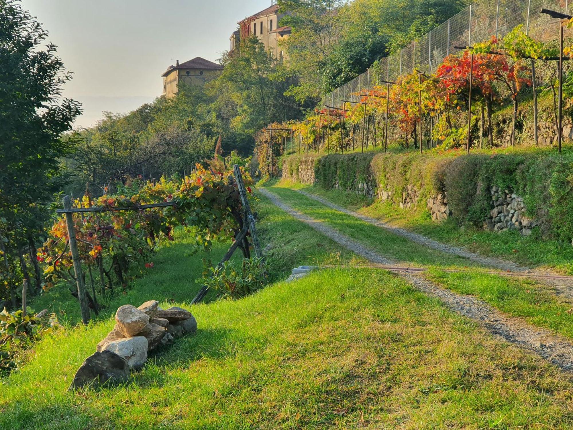 b&b Antiche Pietre Bollengo Esterno foto